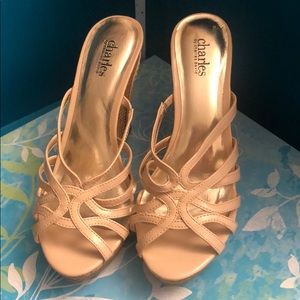 Brand new Charles David wedges